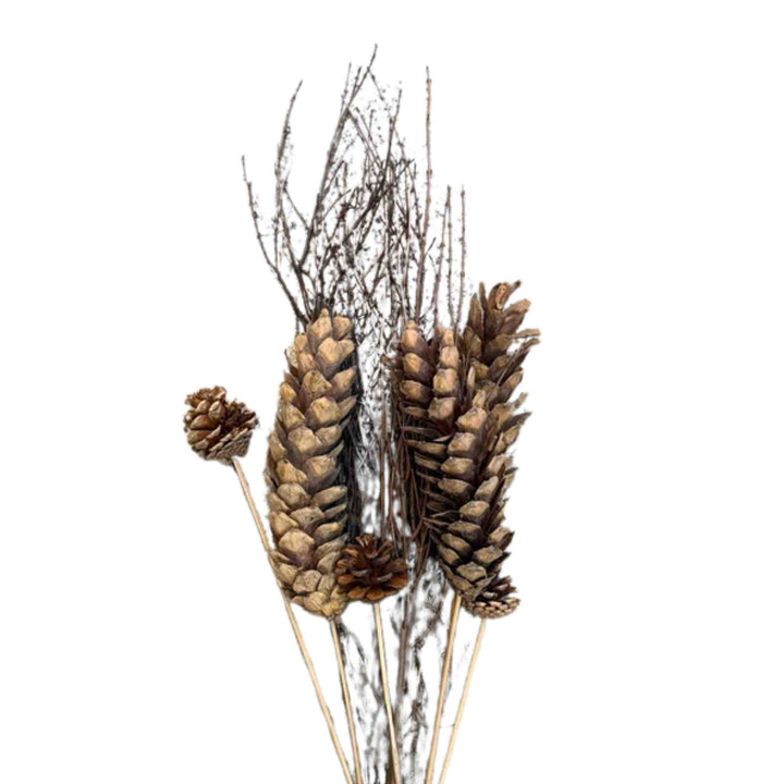 JAY BRANCHES & PINE CONES BOUQUET, 30"