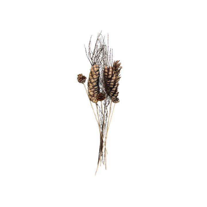 JAY BRANCHES & PINE CONES BOUQUET, 30"