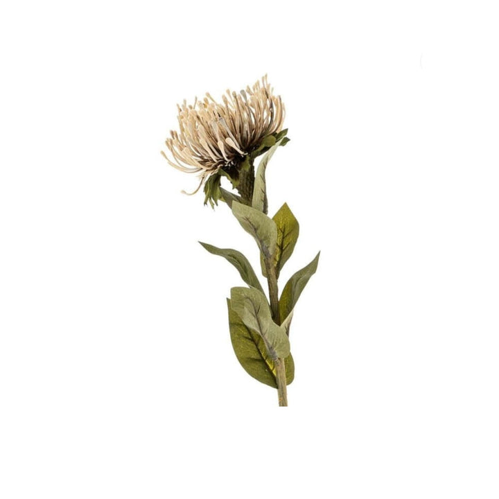 PIN CUSHION FLORAL STEM, NATURAL