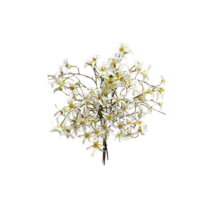 FORSYTHIA BUNDLE, 21"