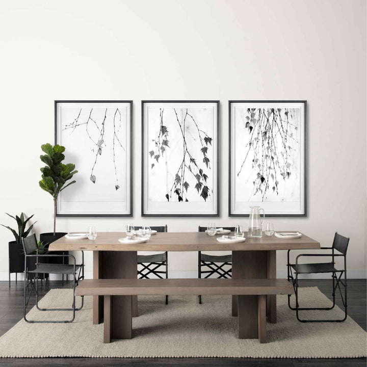 HANGING WILLOW FRAMED ART COLLECTION