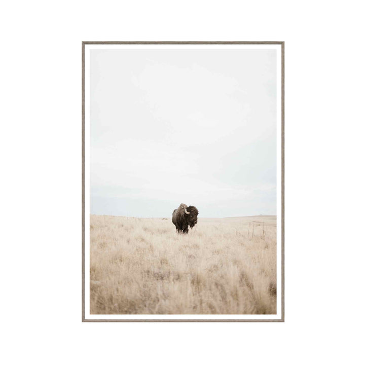 GREAT PLAINS DENIZEN, FRAMED ART