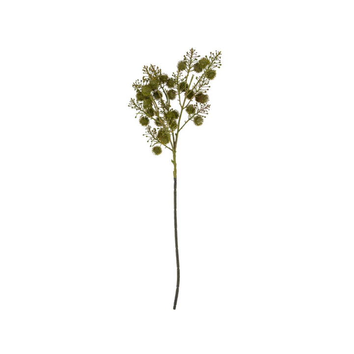 WILD BERRY SPRAY