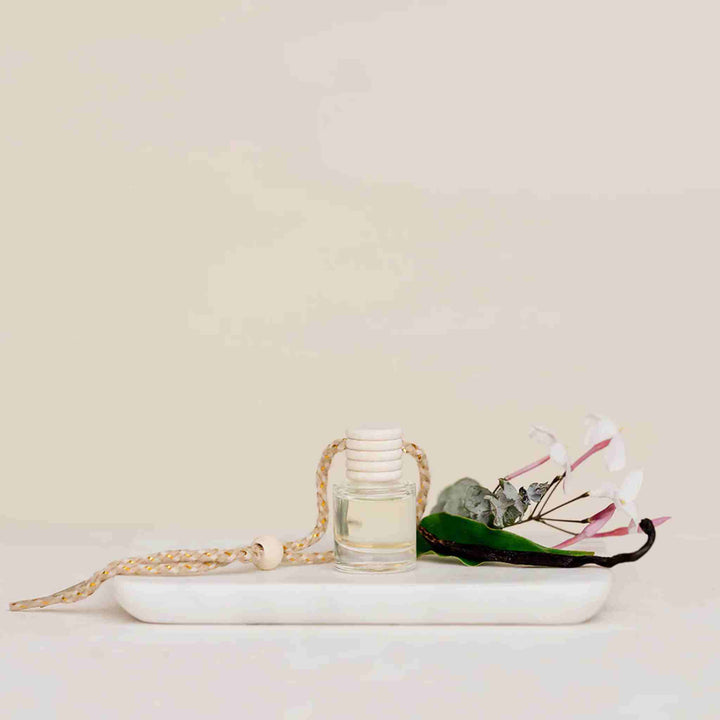 IVY &amp; SAGE CAR DIFFUSER