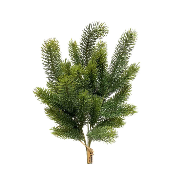 NOBLE FIR BUSH, 21"
