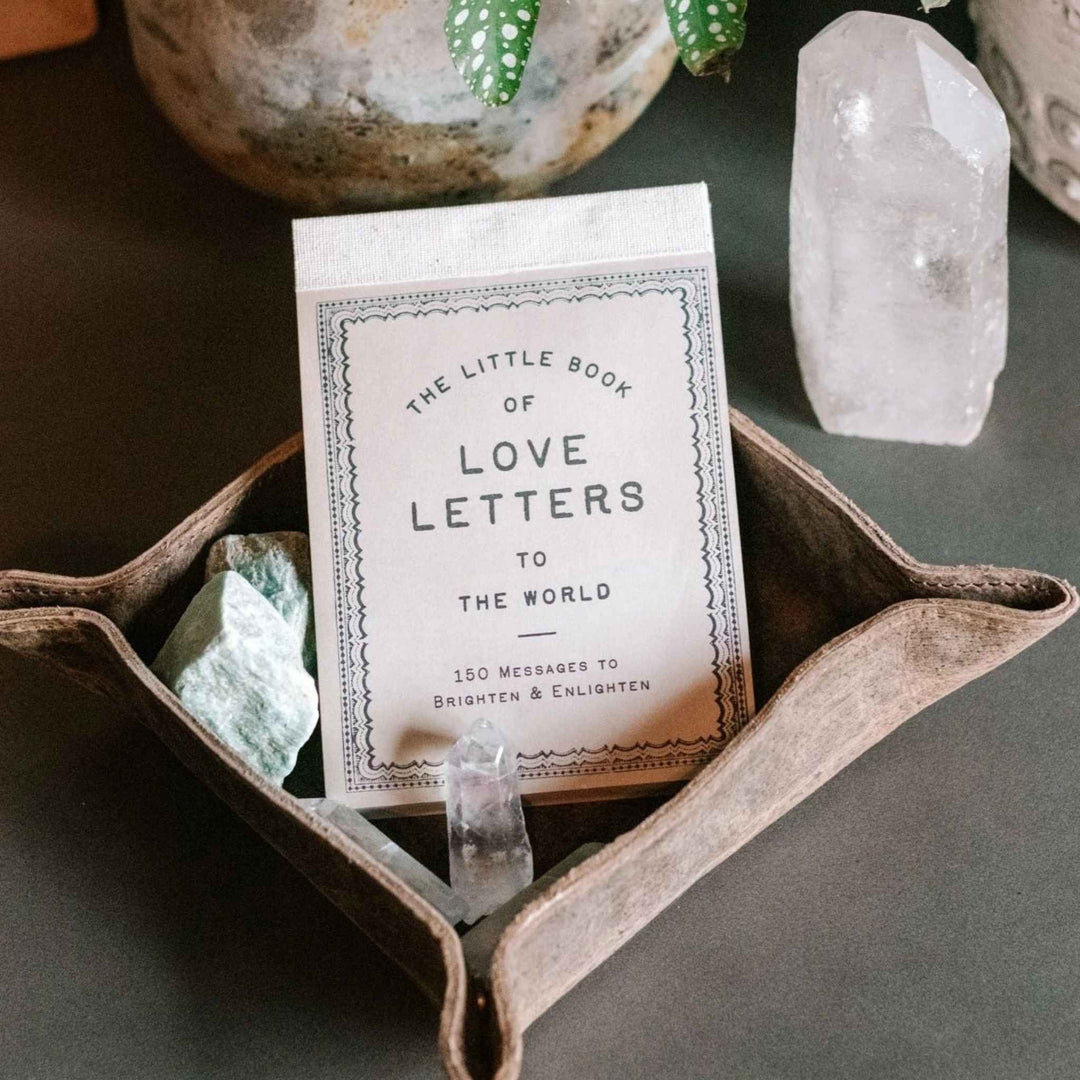 LIL BOOK OF LOVE LETTERS TO THE WORLD