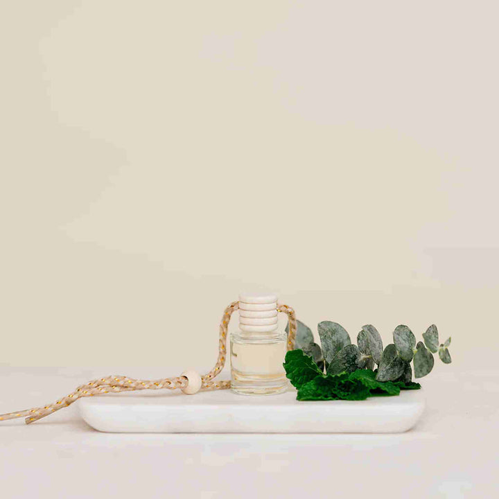 IVY &amp; SAGE CAR DIFFUSER