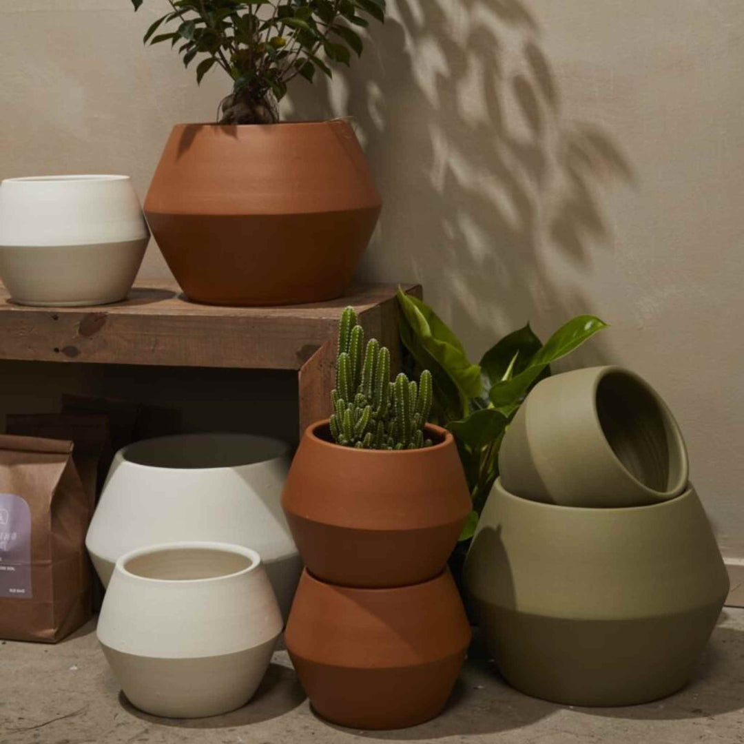 HYDRA POT