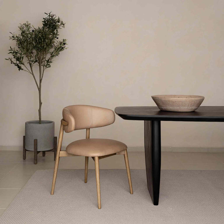EMILIO DINING CHAIR