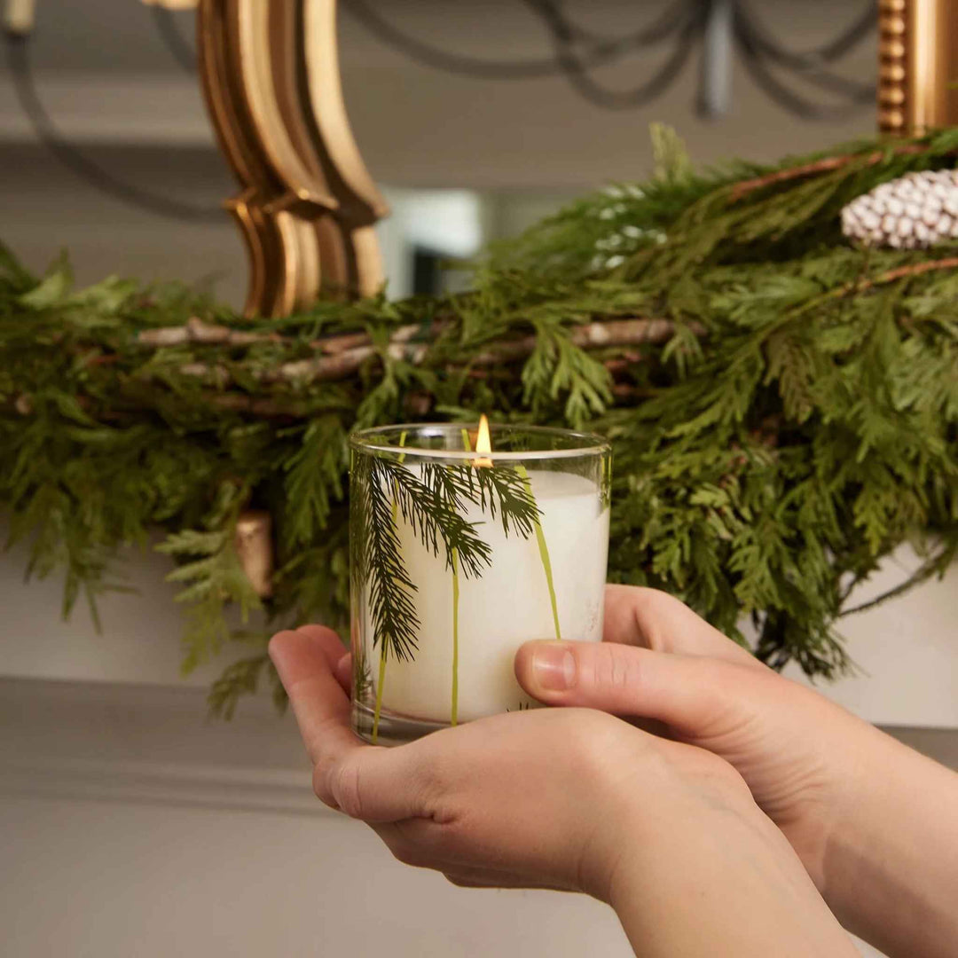 FRASIER FIR PINE NEEDLE CANDLE, 6.5 OZ