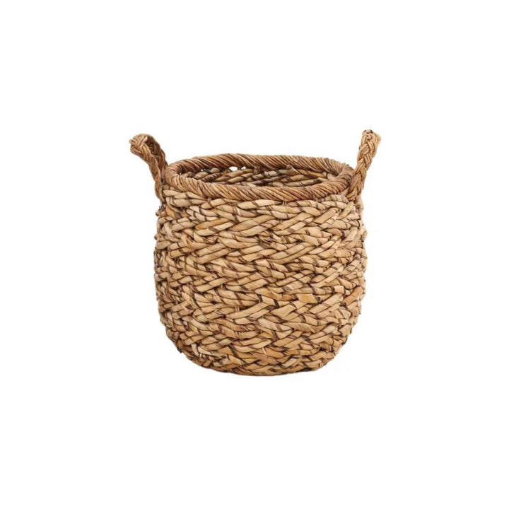 REMIGIO BASKET