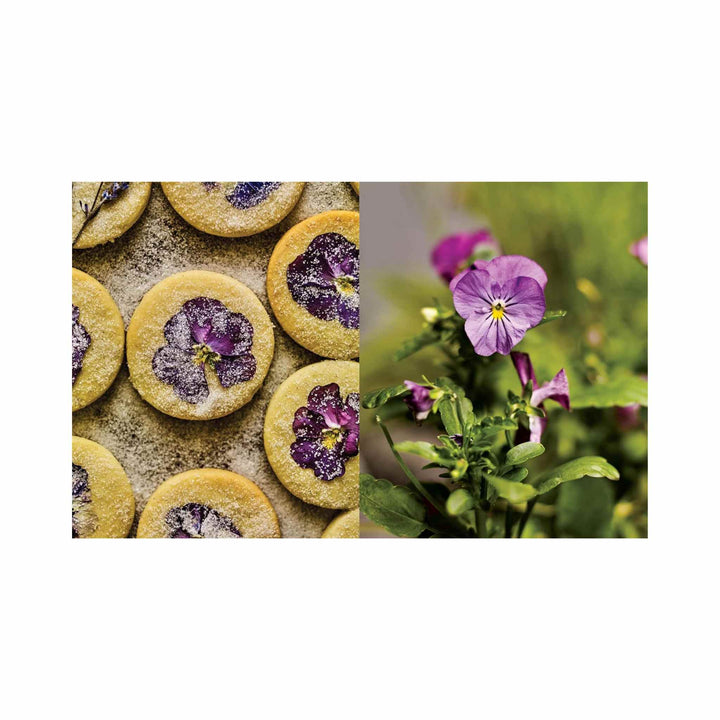 THE SIDE GARDENER, COOKBOOK