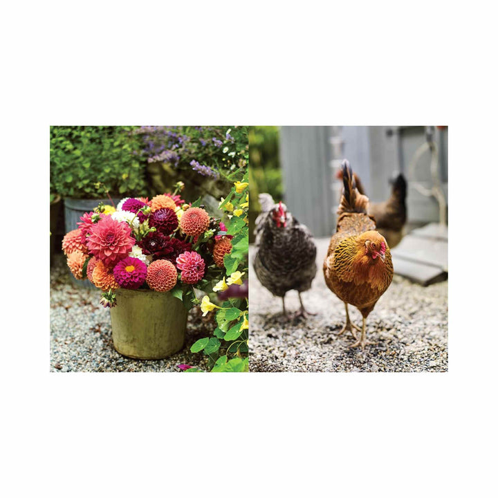 THE SIDE GARDENER, COOKBOOK