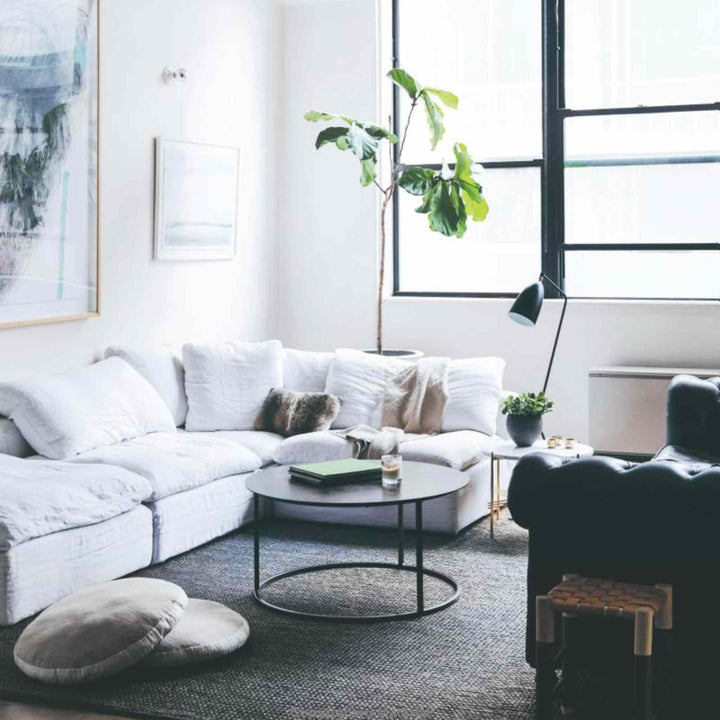 THIS IS HOME, BOOK