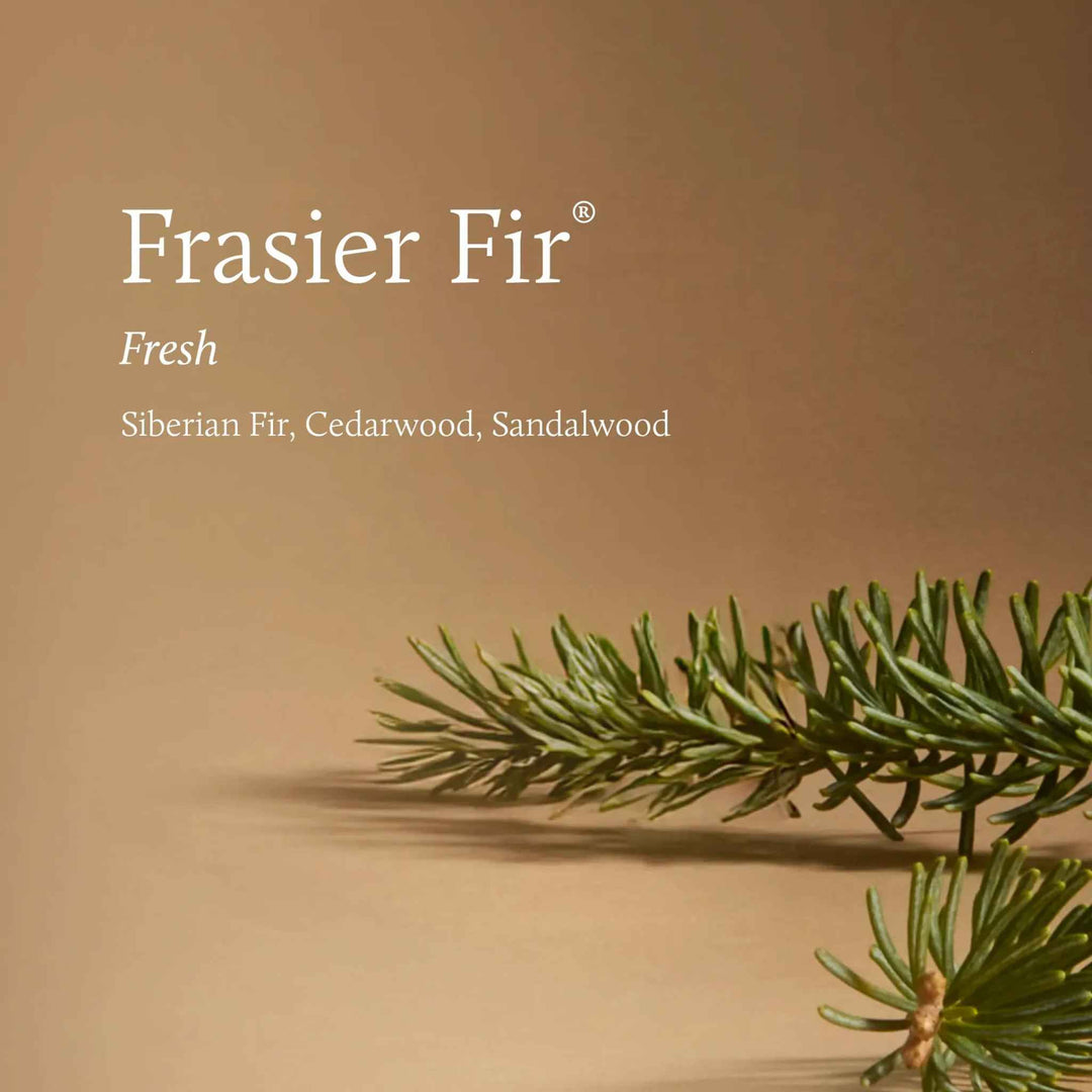 FRASIER FIR TIDINGS VOTIVE CANDLE