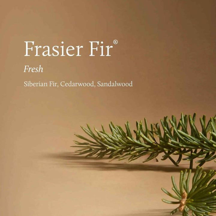 FRASIER FIR TIDINGS VOTIVE CANDLE
