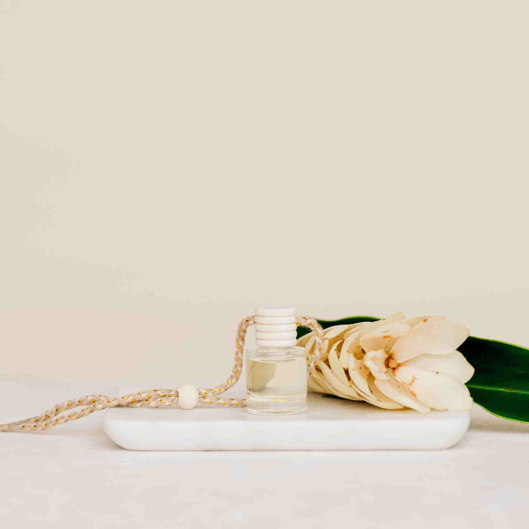 IVY &amp; SAGE CAR DIFFUSER