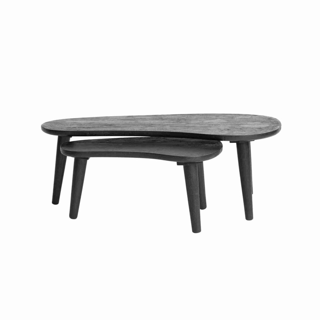 ORELLE NESTING COFFEE TABLES, S/2