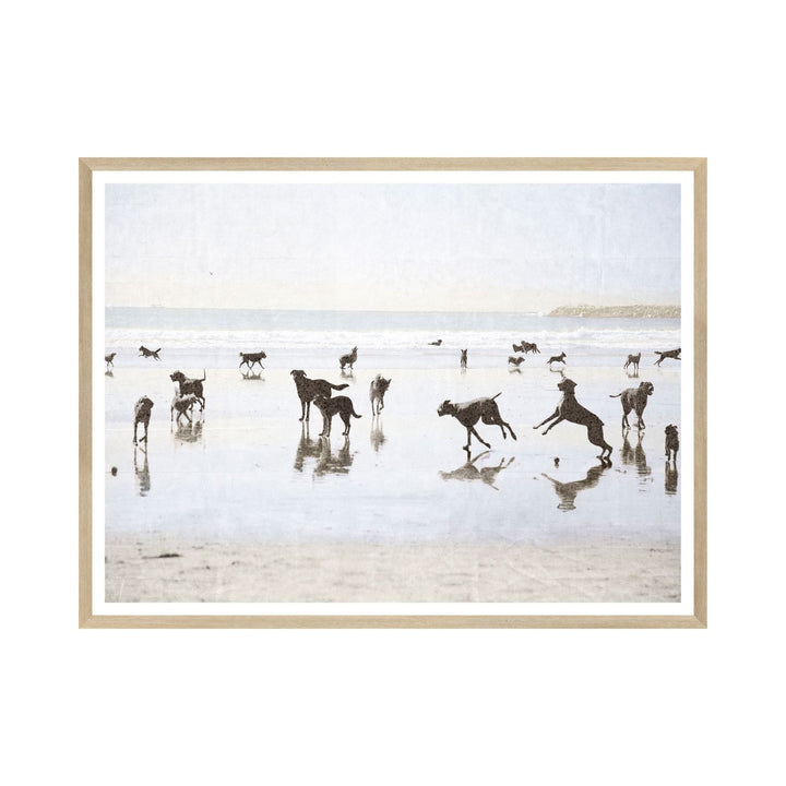 DOGS DAY AT THE BEACH, FRAMED ART